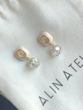 Hue Pink Earrings